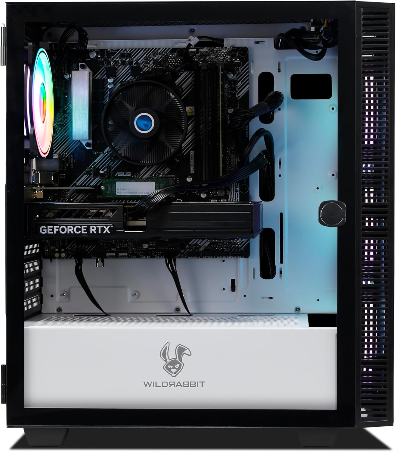Ankermann Cryon V3 - Vista 4